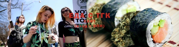 индика Абдулино