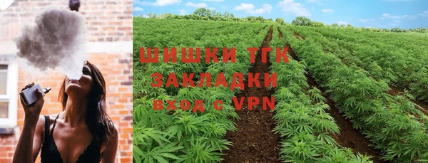 индика Абдулино