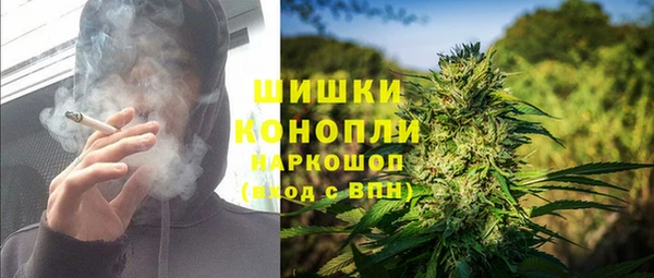 индика Абдулино