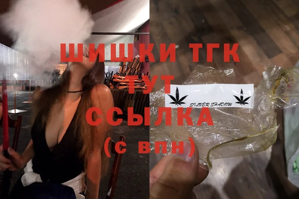 гашик Семилуки