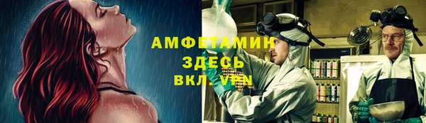 гашик Семилуки